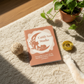 Catify Your Studio — The Renter's Guide to a Cat-Friendly Apartment